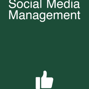 social media management thumbnail